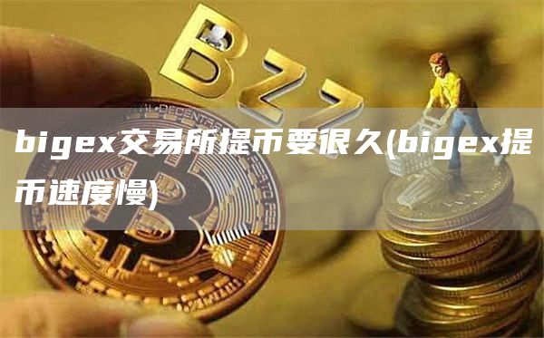 big交易所提币要很久 - big提币速度慢