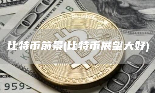 比特币前景 - 比特币展望大好