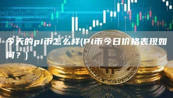 今天的pi币怎么样 - Pi币今日价格表现如何？