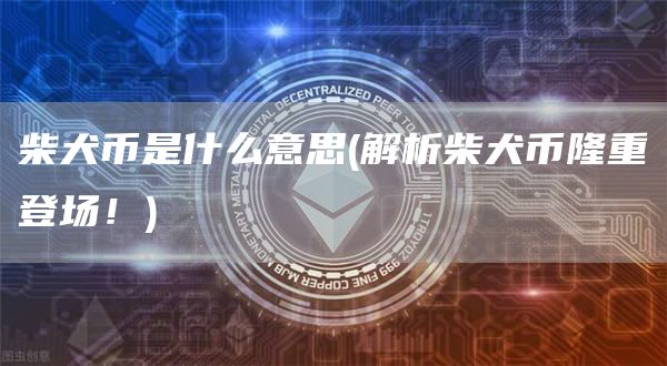 柴犬币是什么意思 - 解析柴犬币隆重登场！