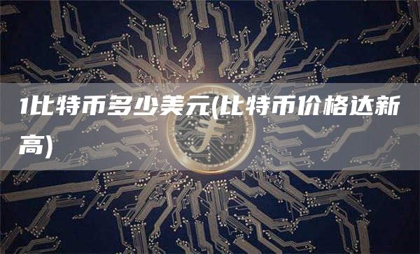 1比特币多少美元 - 比特币价格达新高