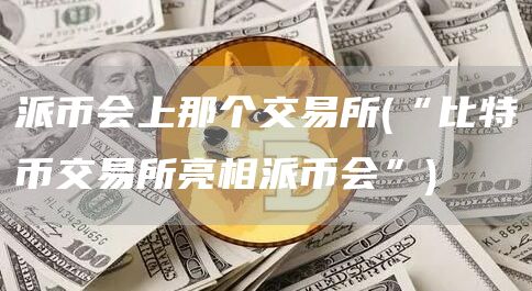 派币会上那个交易所 - “比特币交易所亮相派币会”