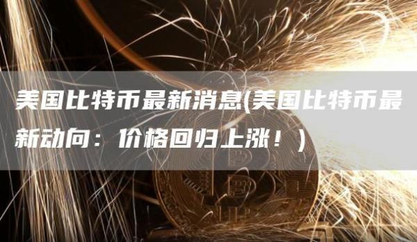 美国比特币最新消息 - 美国比特币最新动向：价格回归上涨！