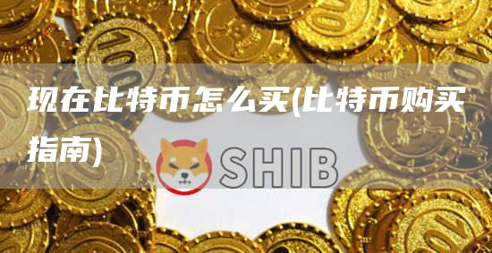 现在比特币怎么买 - 比特币购买指南