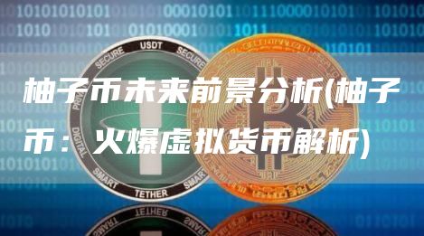 柚子币未来前景分析 - 柚子币：火爆虚拟货币解析