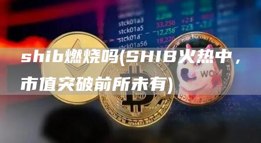 shib燃烧吗 - SHIB火热中，市值突破前所未有