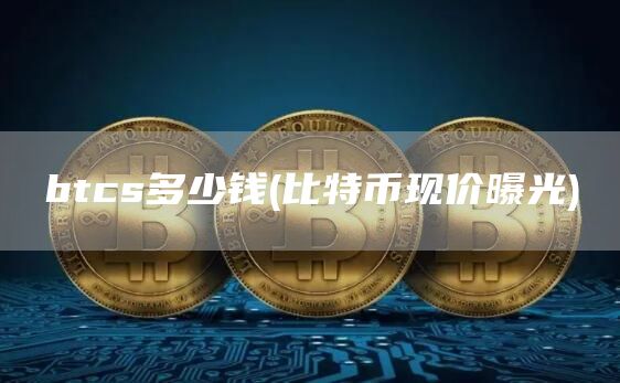 btcs多少钱 - 比特币现价曝光