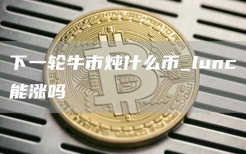 下一轮牛市炖什么币_lunc能涨吗