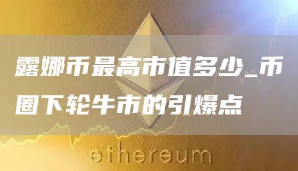 露娜币最高市值多少_币圈下轮牛市的引爆点