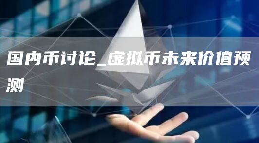 国内币讨论_虚拟币未来价值预测