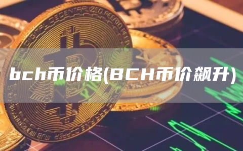 bch币价格 - BCH币价飙升