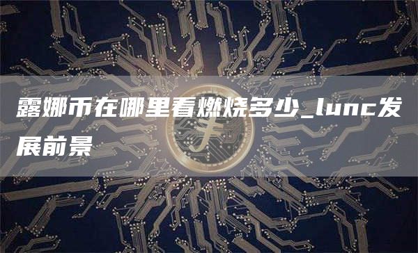 露娜币在哪里看燃烧多少_lunc发展前景